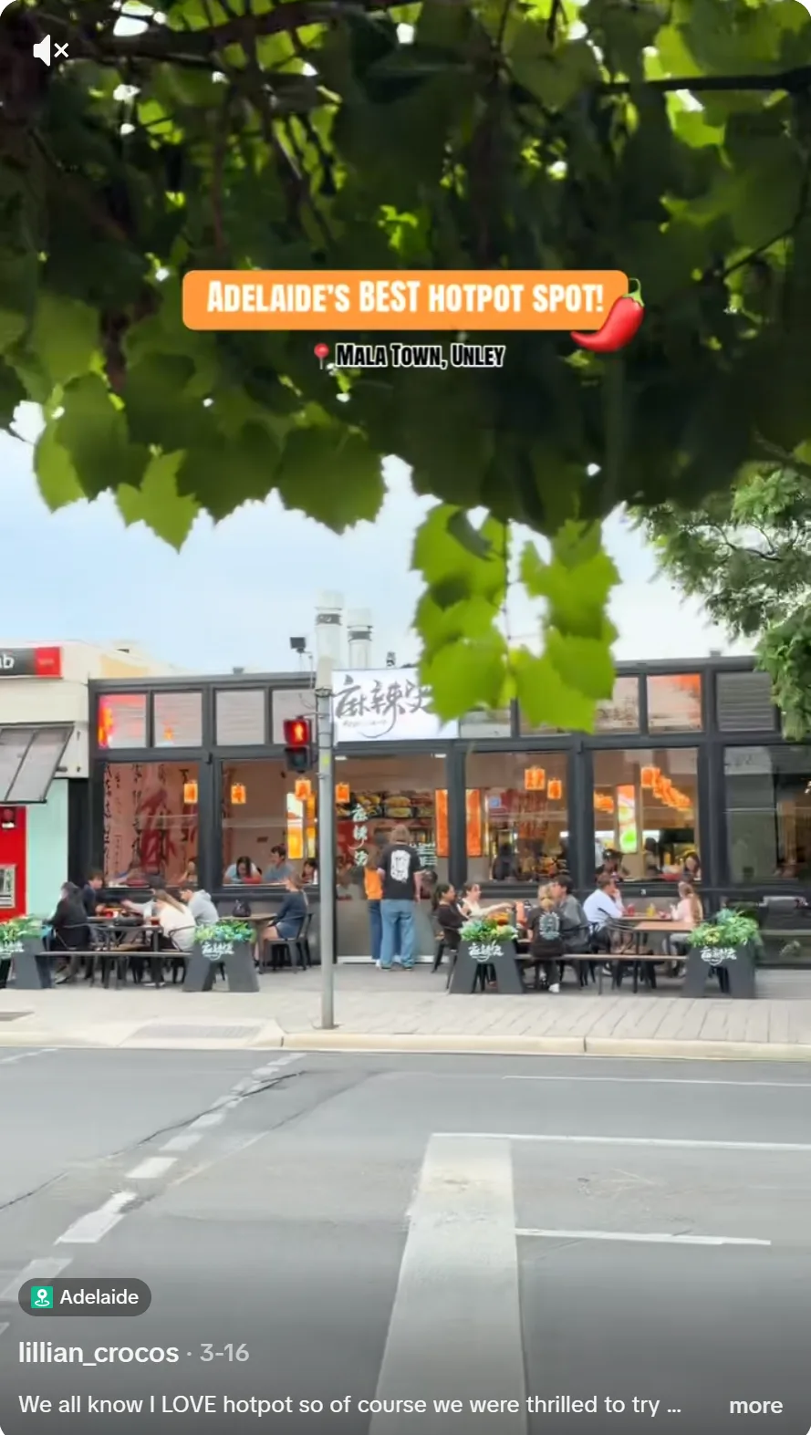 @lillian_crocos social post